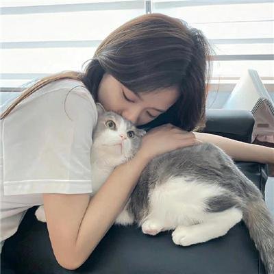 车中人